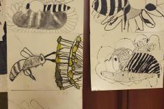 zm_20241114_174731